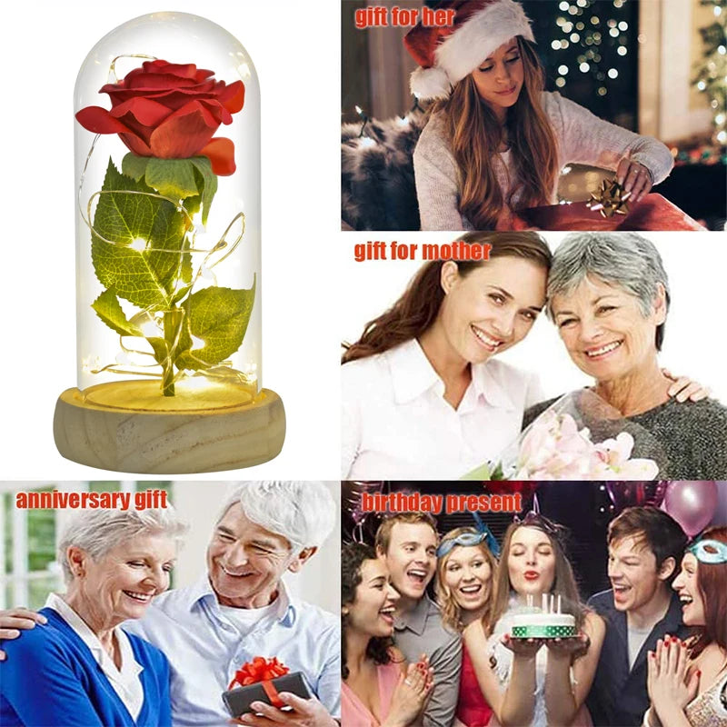 Gifts for Her Beauty and the Beast Eternal Rose in Glass Dome Artificial Forever Flower LED Light Mothers Day Gifts for Women