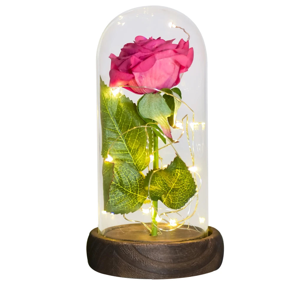 Gifts for Her Beauty and the Beast Eternal Rose in Glass Dome Artificial Forever Flower LED Light Mothers Day Gifts for Women